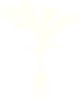 Vector 8