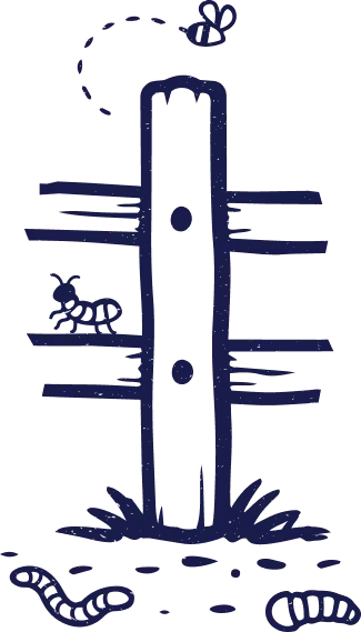 balanced ecosystem