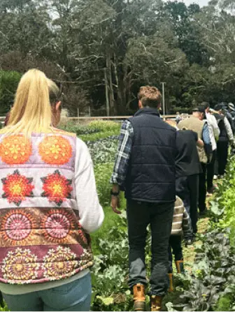 farm tours
