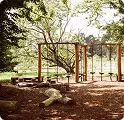 The Playground
